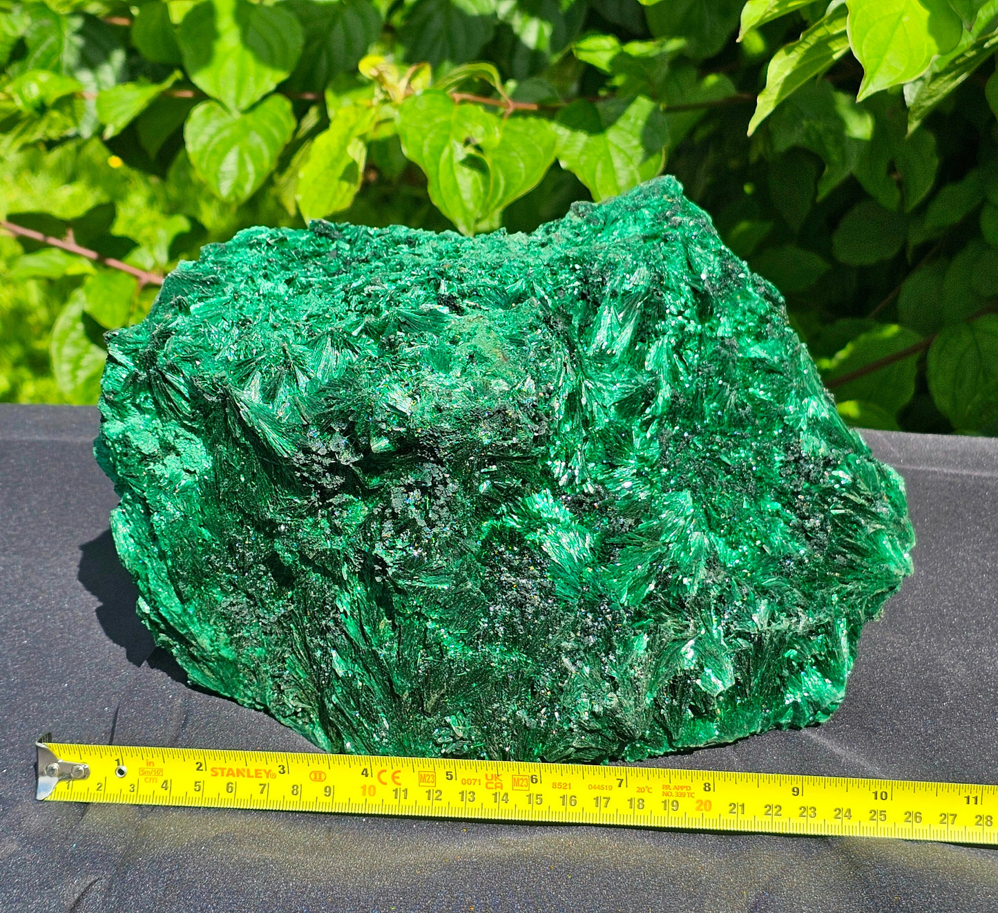 XL Velvet Malachite Crystal