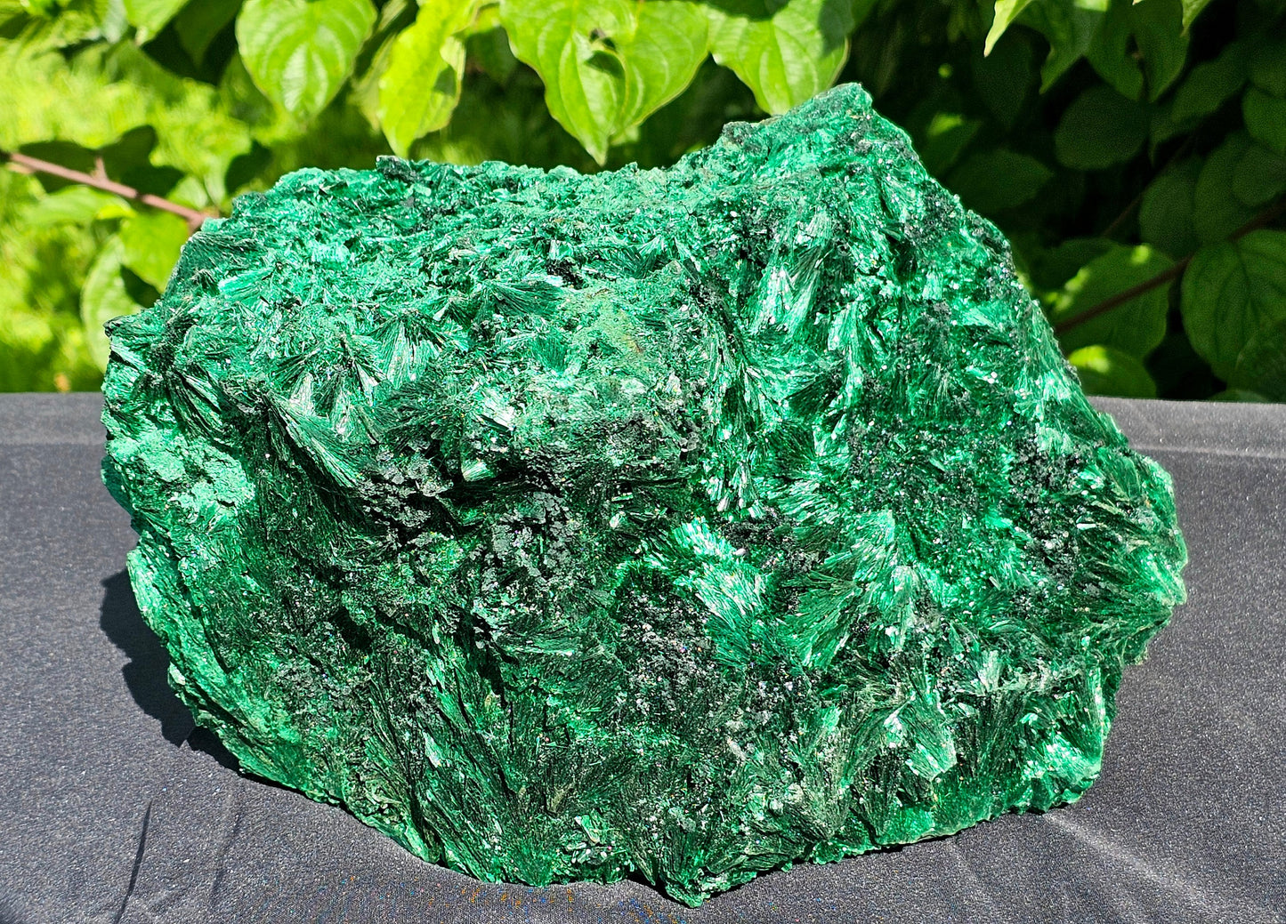 XL Velvet Malachite Crystal