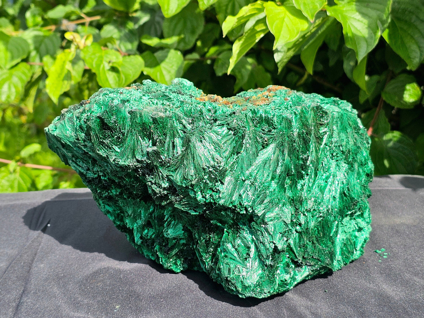 XL Velvet Malachite Crystal