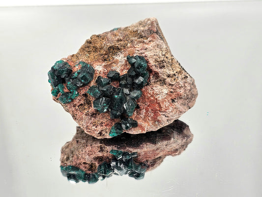 Extra Large Dioptase Crystal (#3)