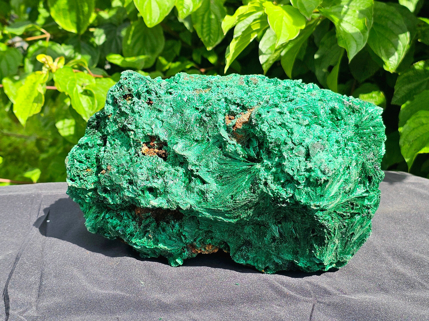 XL Velvet Malachite Crystal