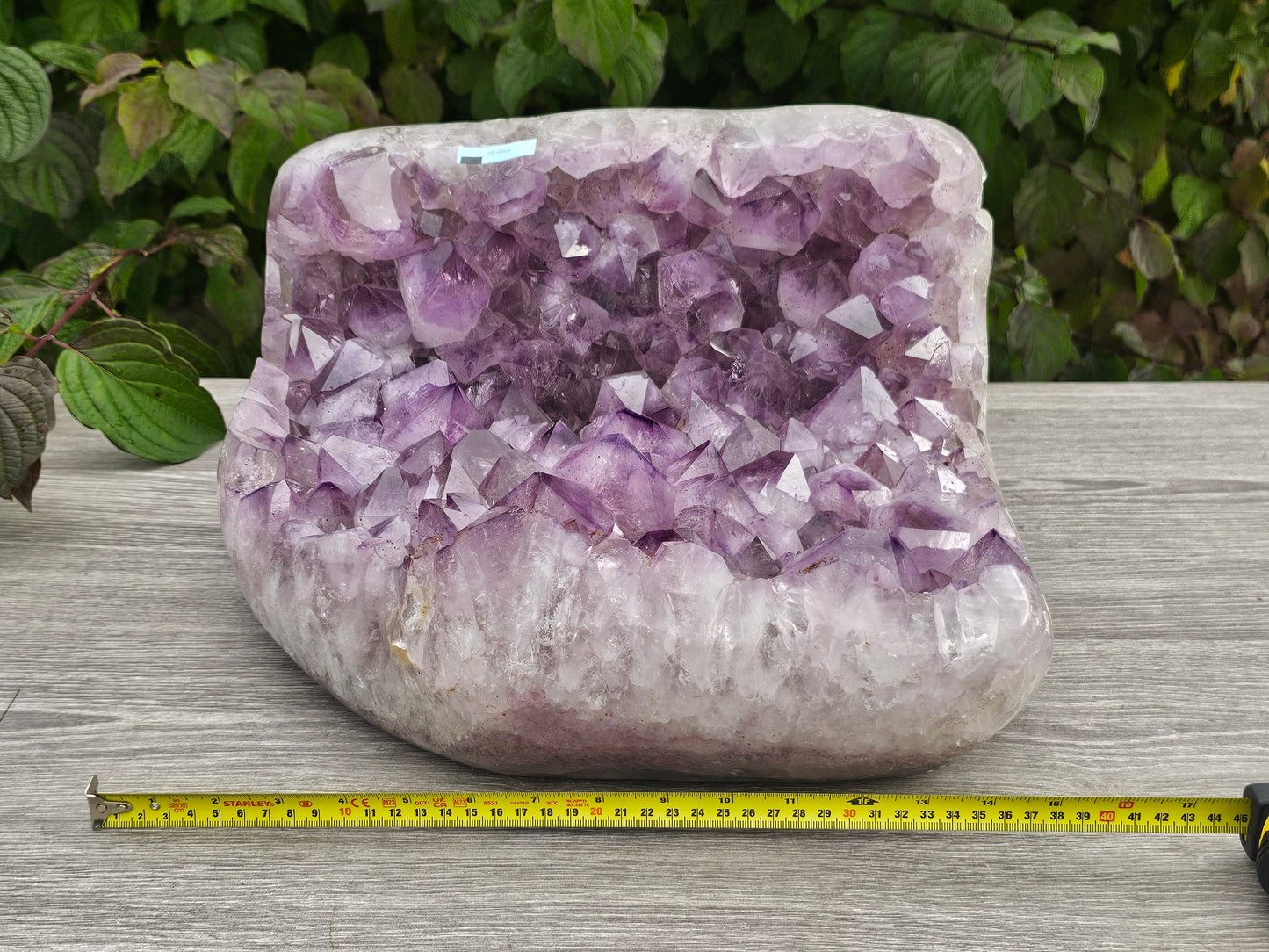 XL Brazilian Amethyst Crystal Cluster (#3)