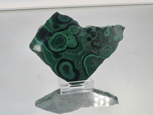 Large Malachite Flower Crystal Slice (#14)