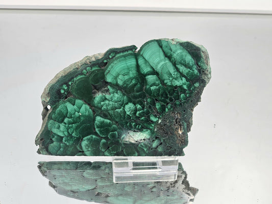 Detailed malachite slice with emerald tones and unique flower banded design