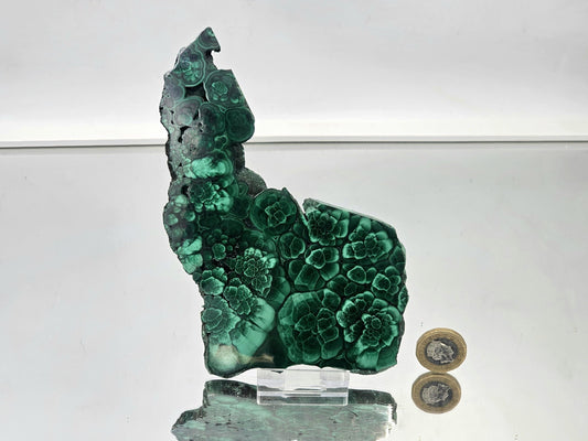 Detailed malachite slice with emerald tones and unique banded design.