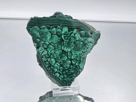 Malachite crystal slice with bright green and dark swirling lines