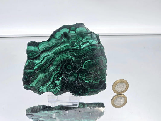 Polished malachite with natural, concentric banding in shades of green.