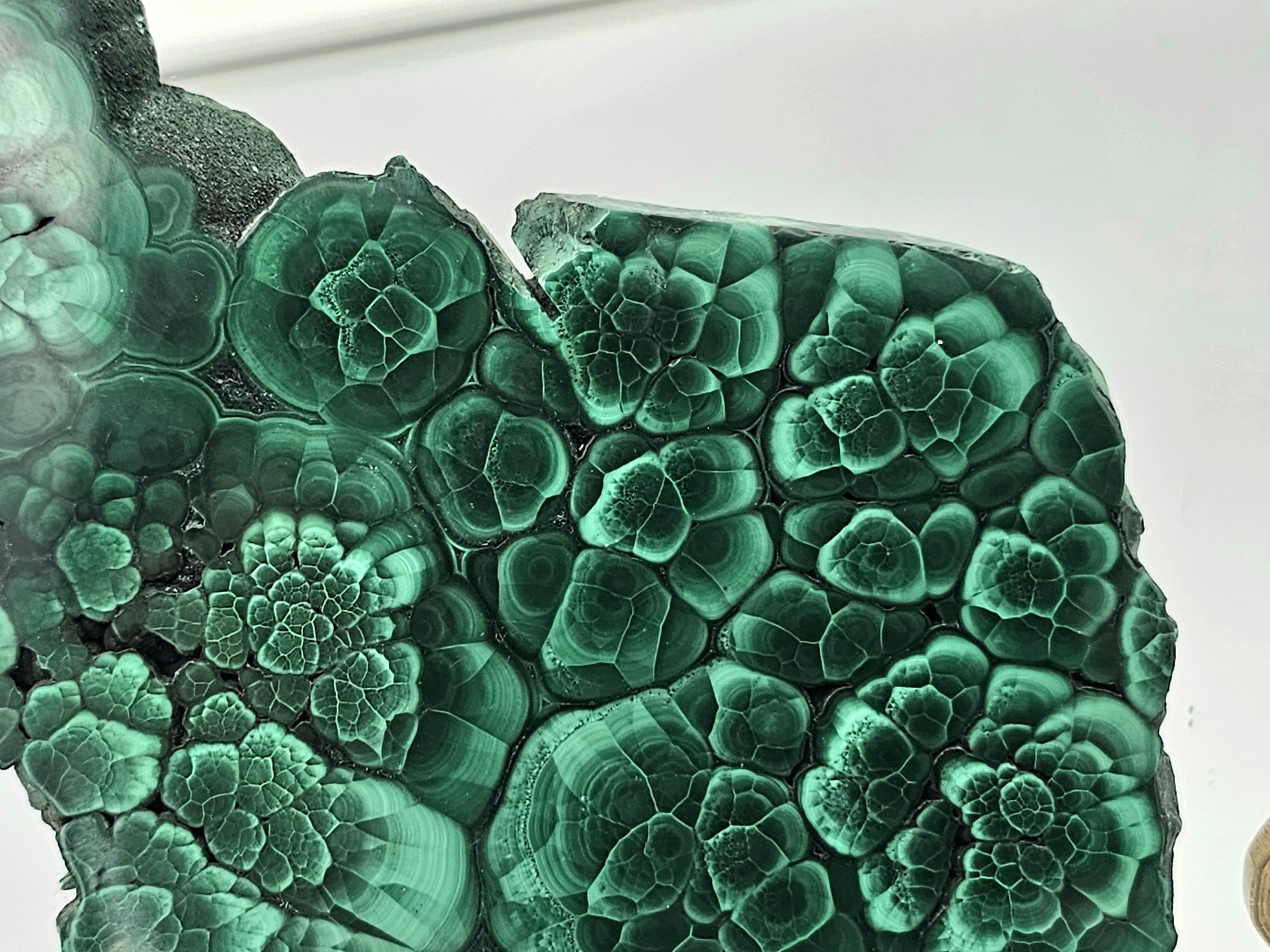 Polished malachite slice with characteristic layered green patterns