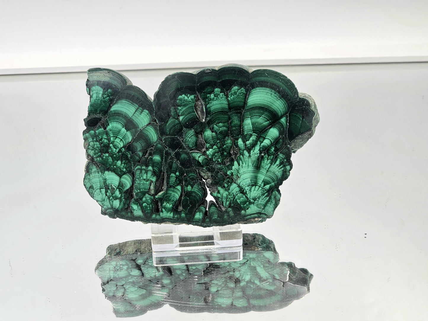 Polished malachite slice with concentric green and teal patterns