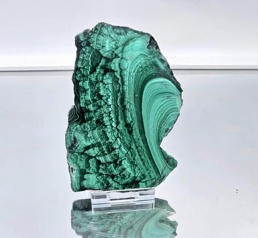 Vibrant malachite slice with rich green color and swirling banded patterns