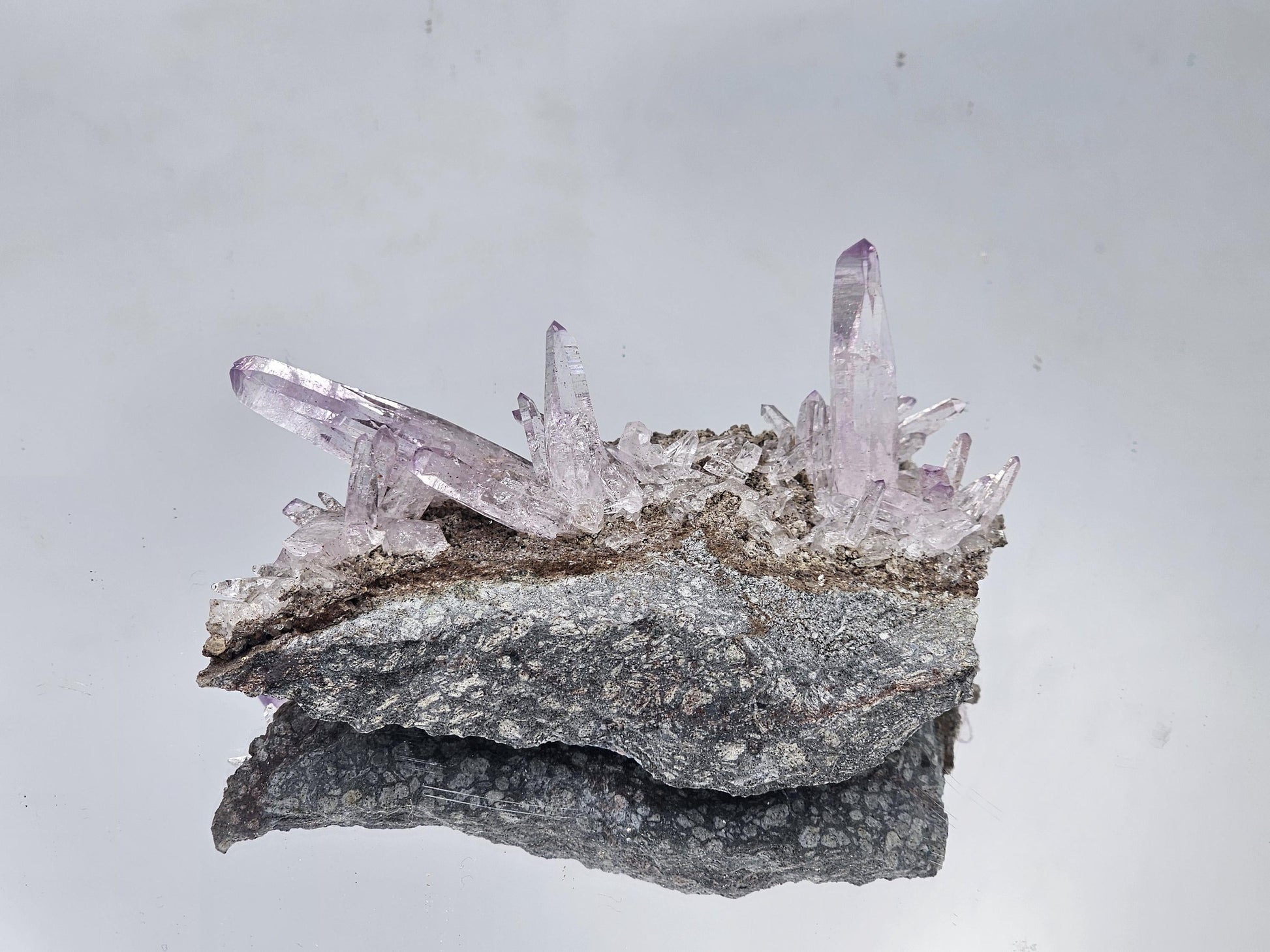 Veracruz amethyst crystal, capturing soft lavender hues and fine detail.