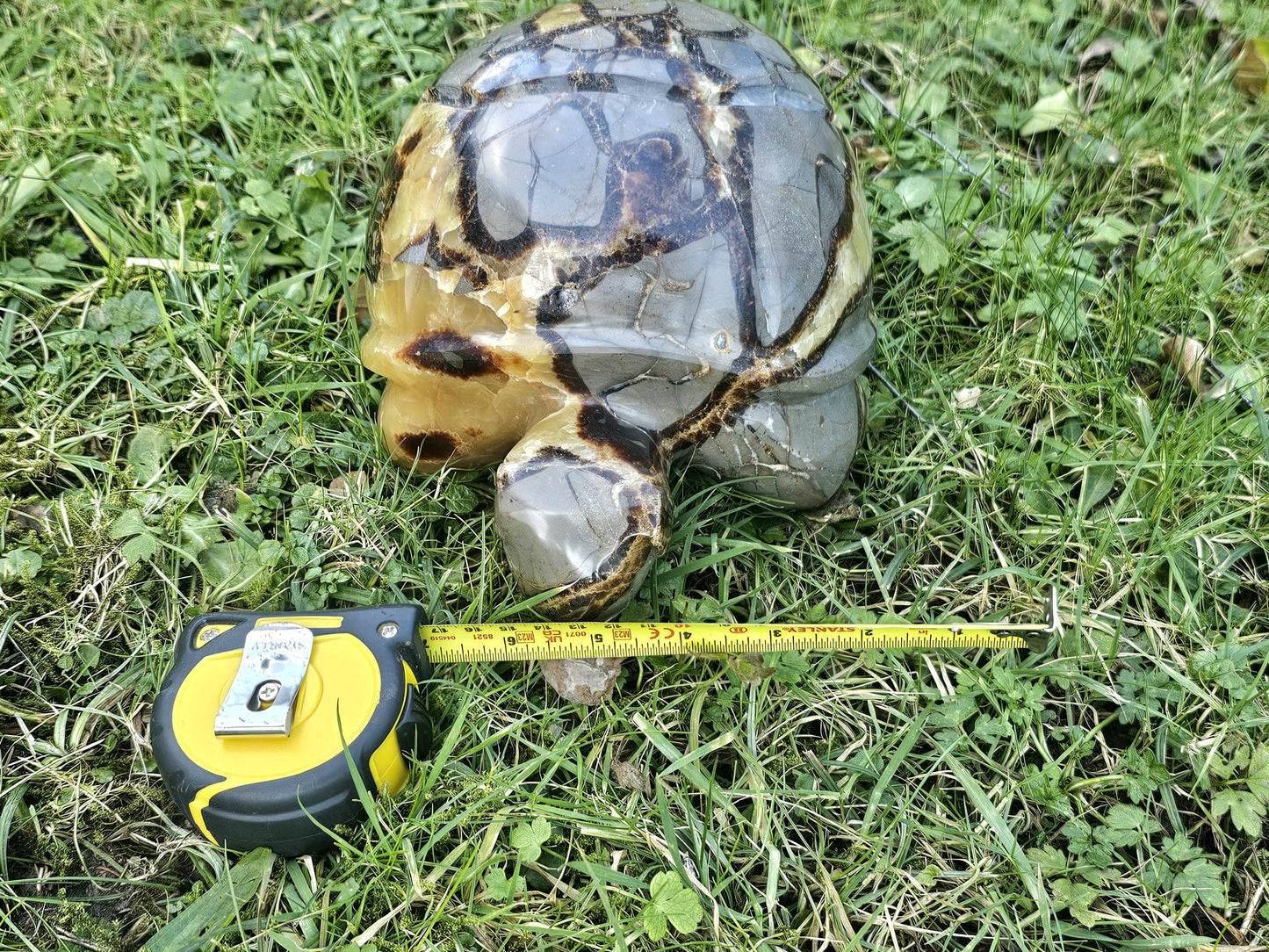 Extra Large Septarian Turtle Crystal Carving