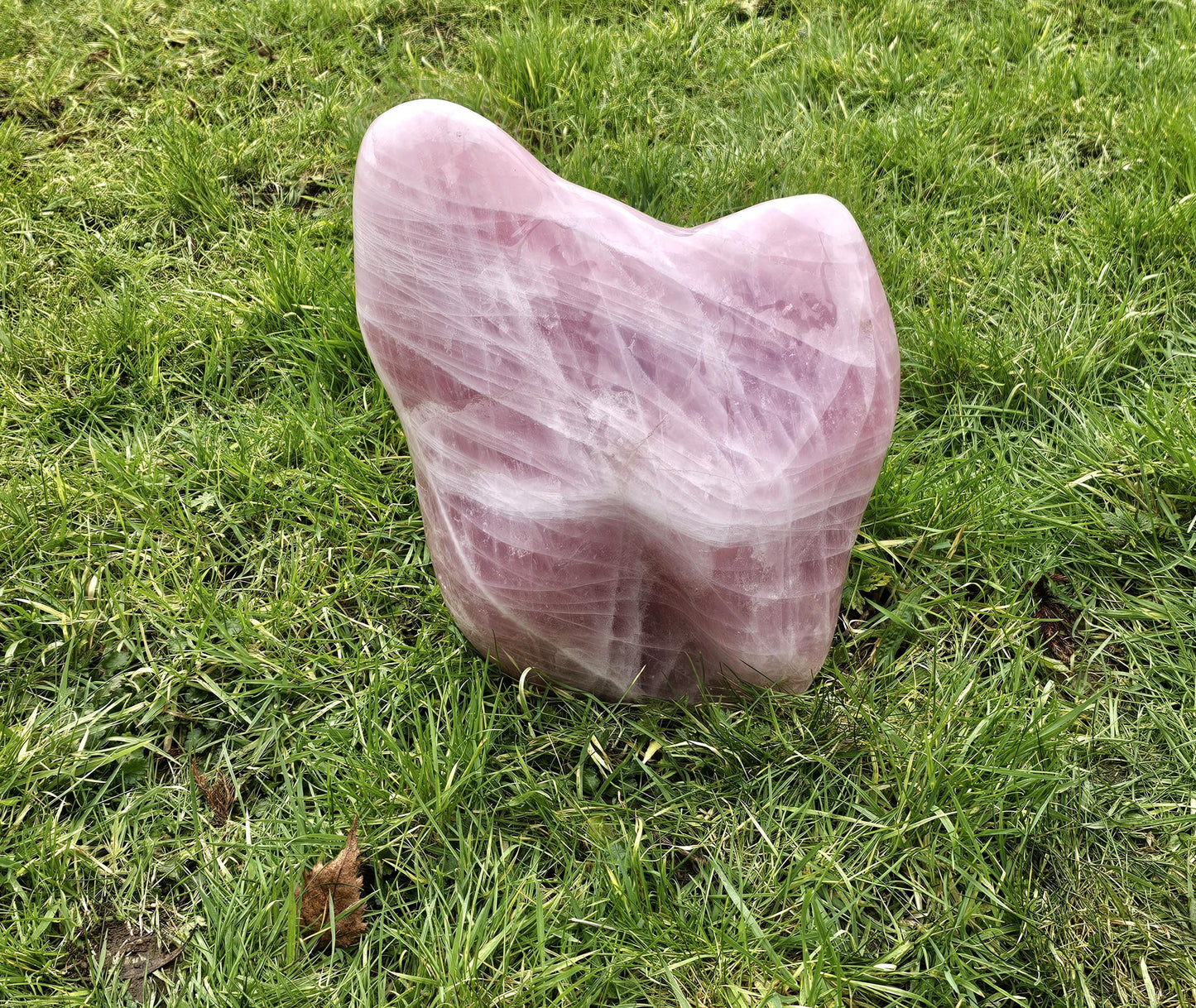 Extra large Rose Quartz Crystal Freeform 27.3 KG