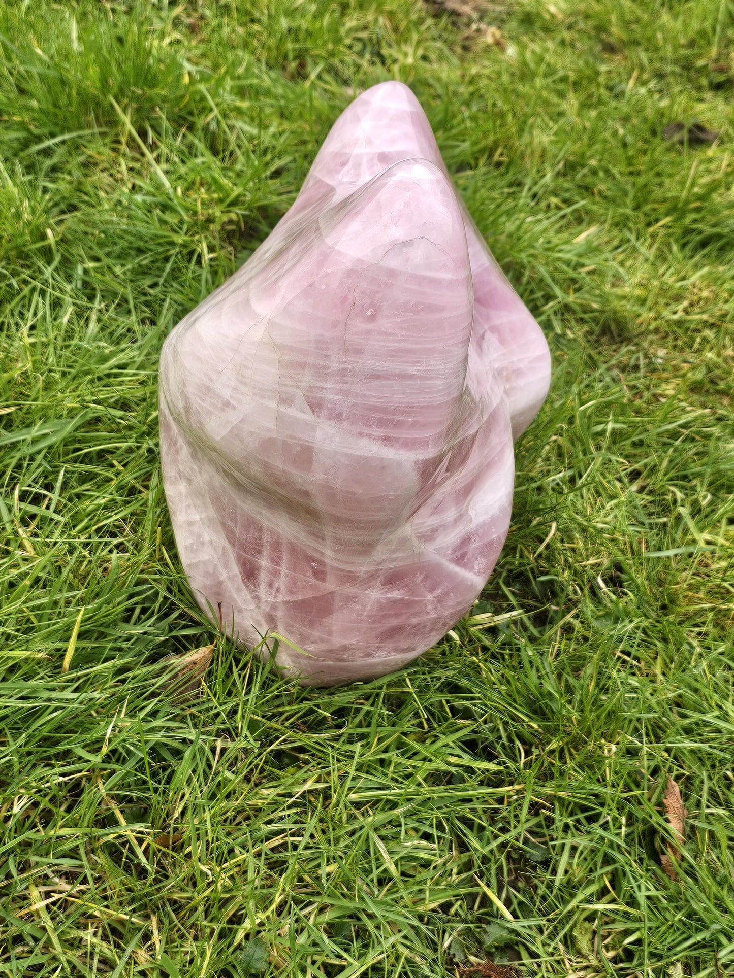 Extra large Rose Quartz Crystal Freeform 27.3 KG