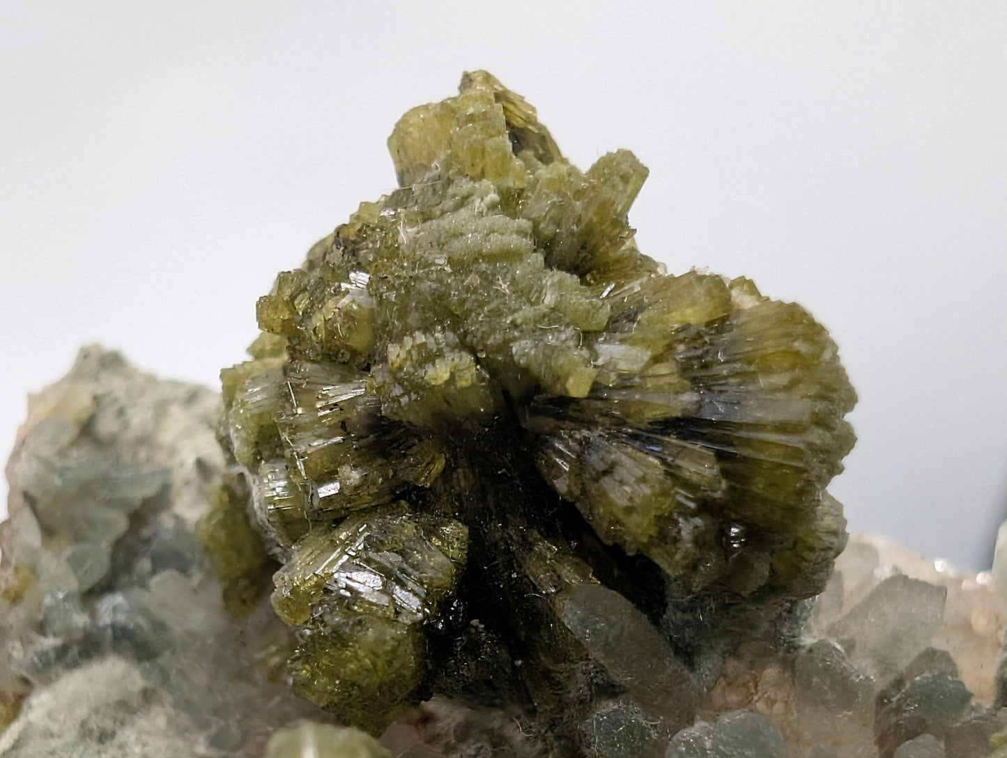 Forest Epidote On Quartz Crystal Fine Mineral (#10)