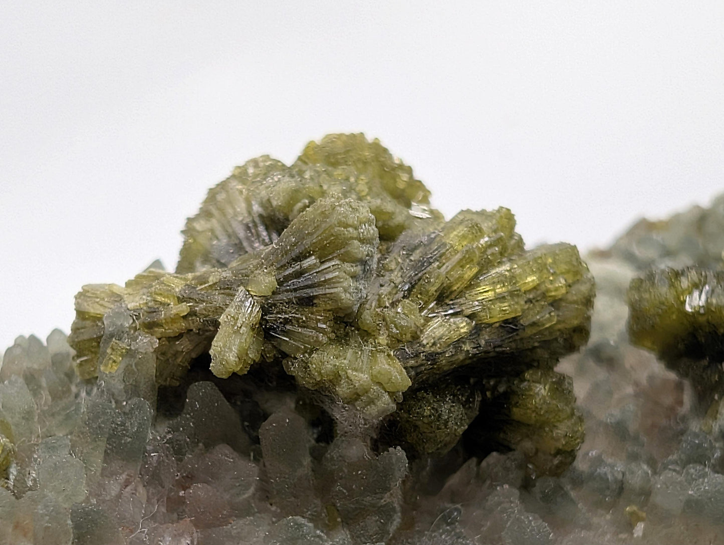 Forest Epidote On Quartz Crystal Fine Mineral (#10)