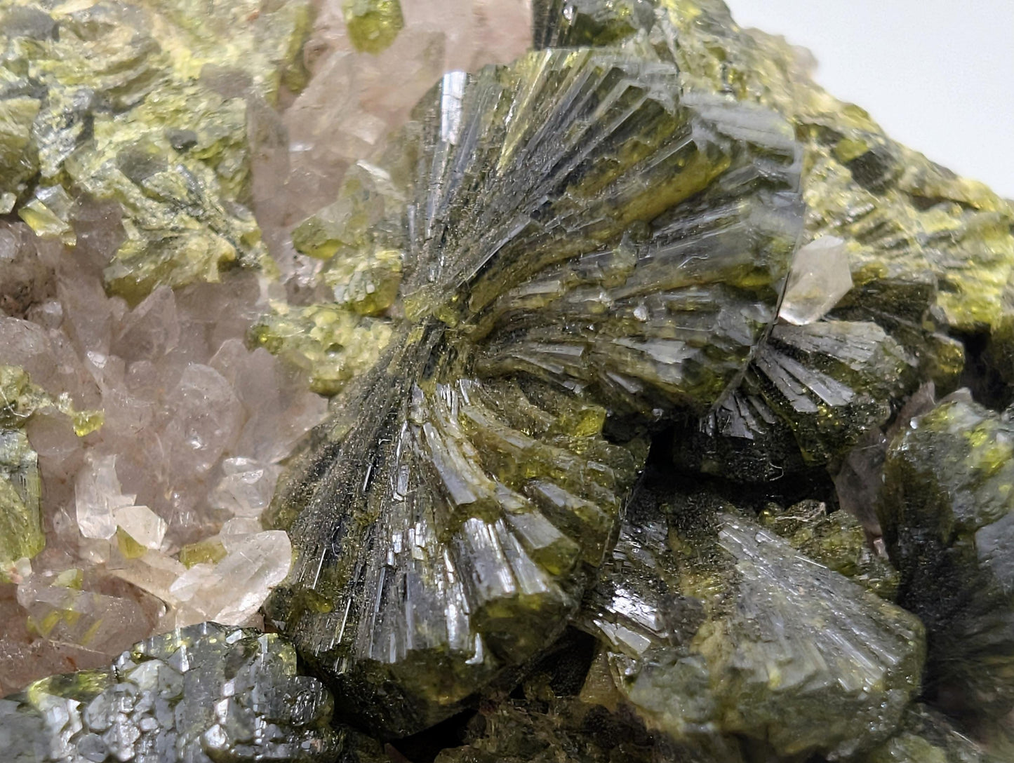 Forest Epidote On Quartz Crystal Fine Mineral (#9)