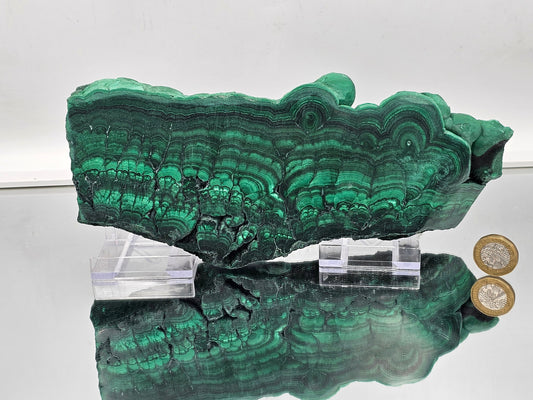 Extra Large Thick Malachite Crystal Slice