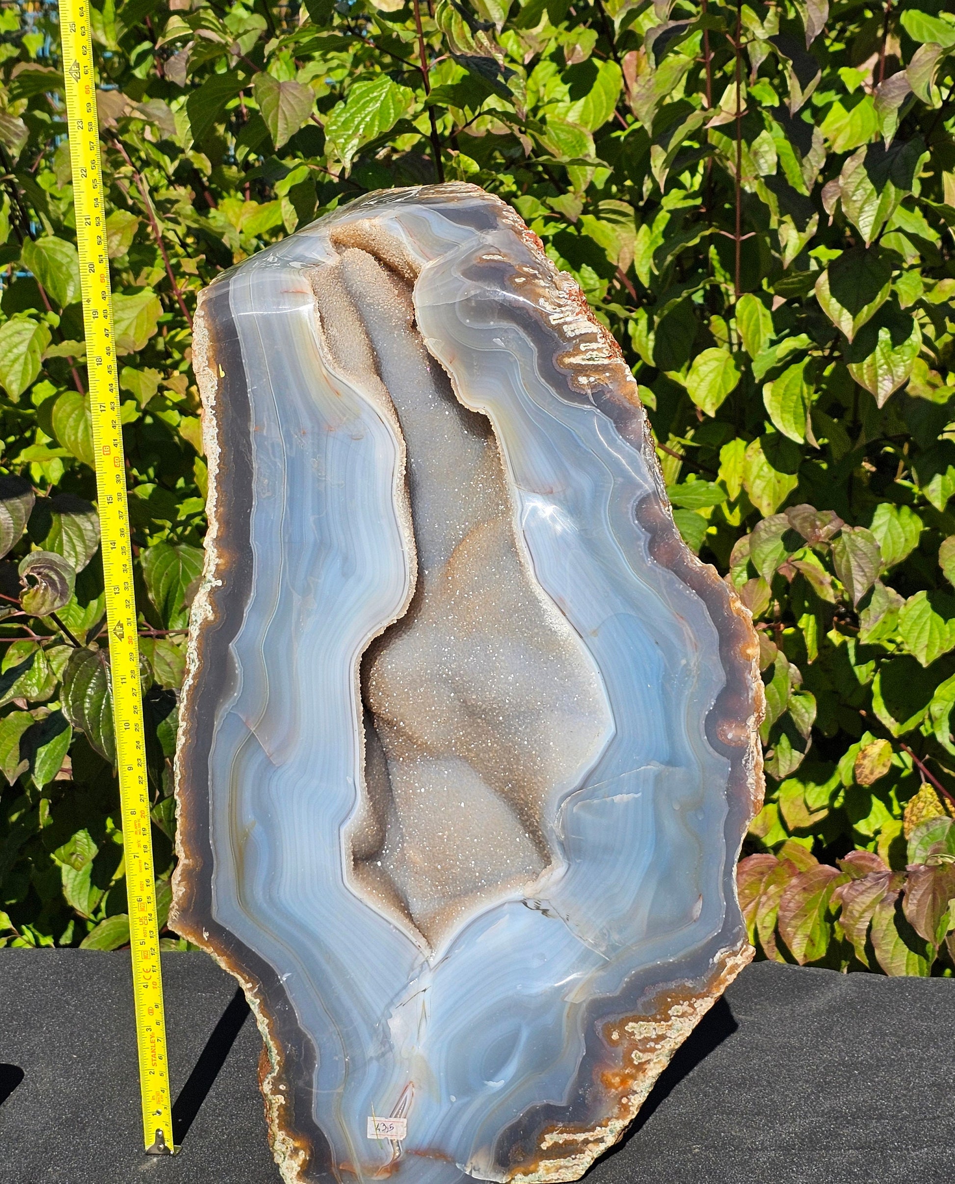 Large Crystals Blue Agate Crystal Geode Druzy