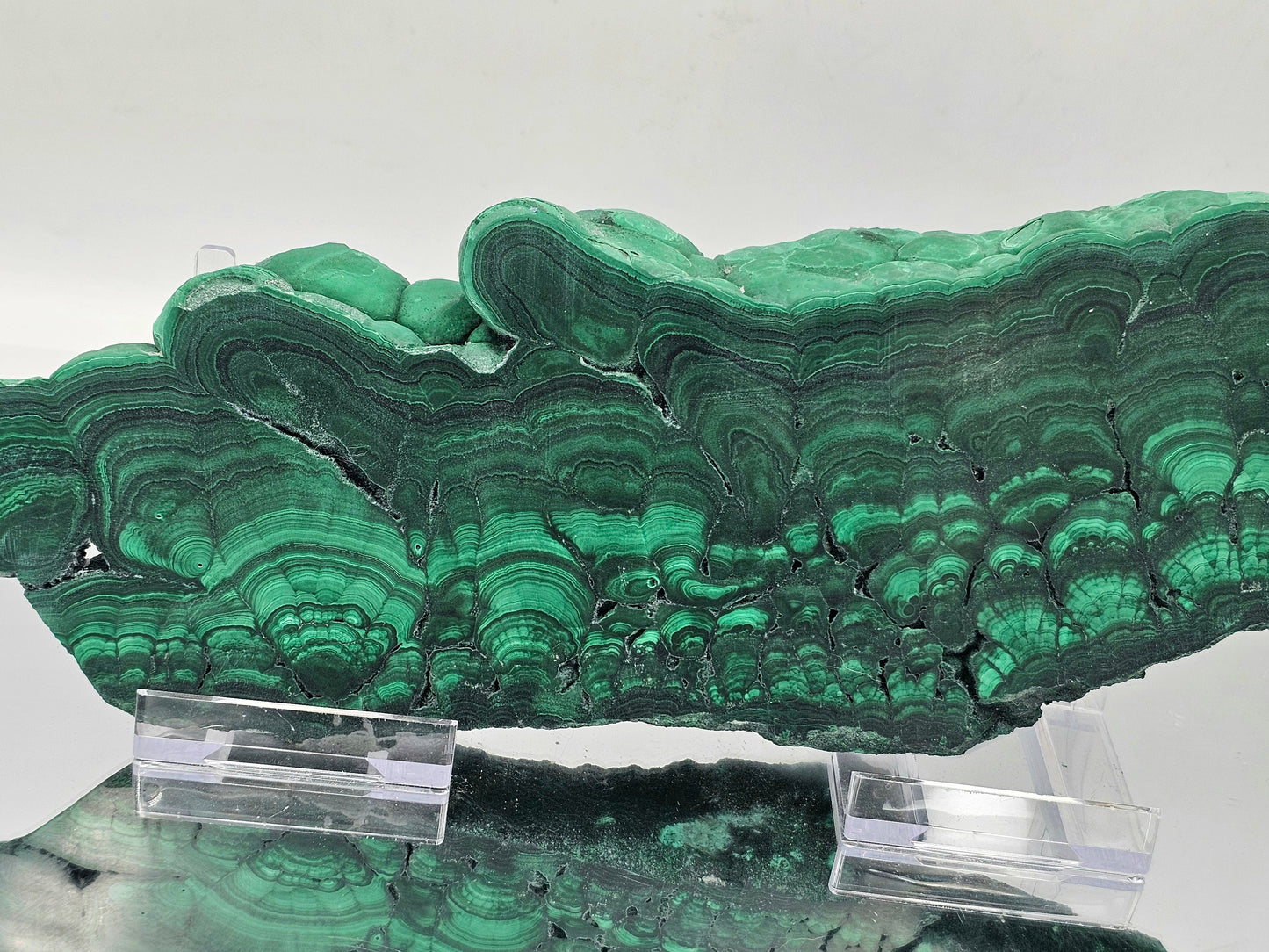 Large Malachite Crystal Slice Floral Polished