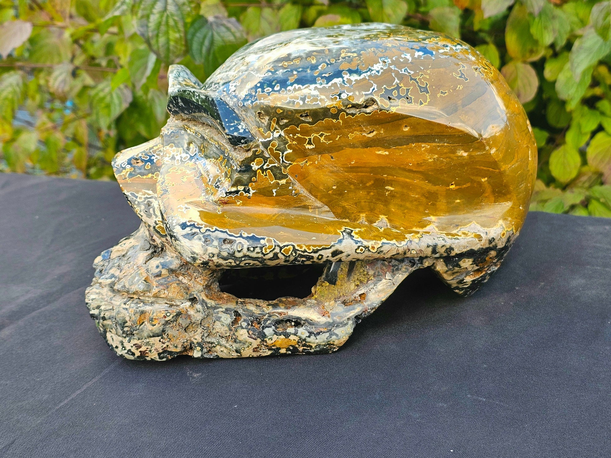 XL Large  Orbital Ocean Jasper Crystal Skull