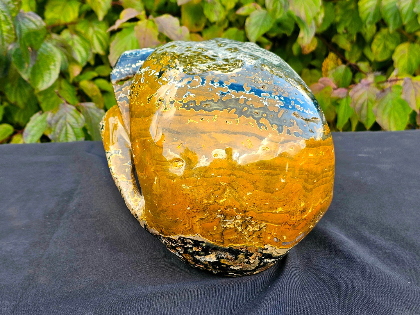 XL Large  Orbital Ocean Jasper Crystal Skulls