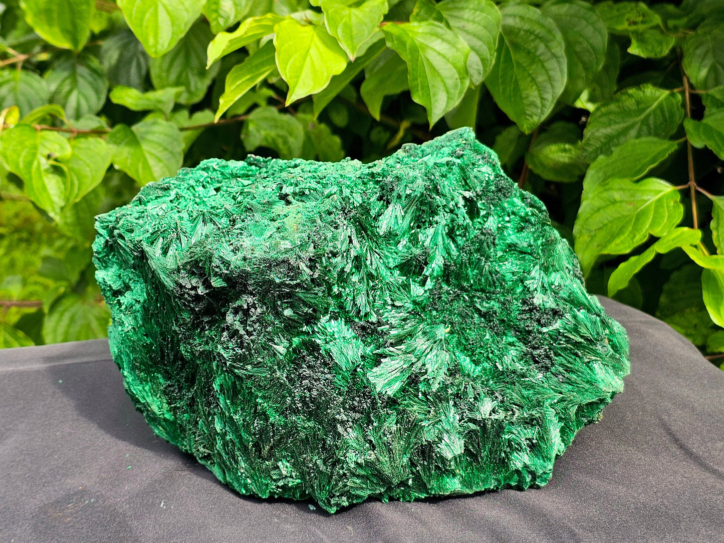 XL Large Velvet Malachite Crystal