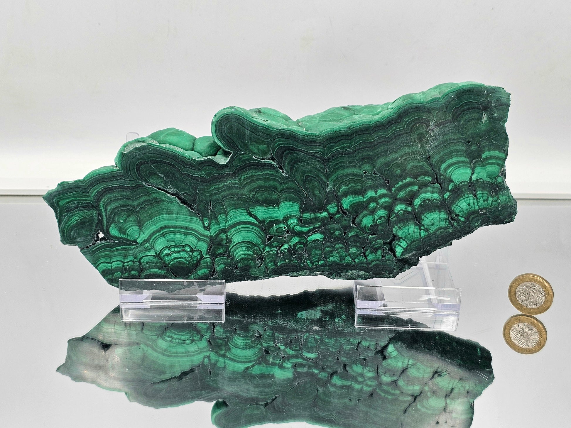 XL Thick Malachite Crystal Slice Floral