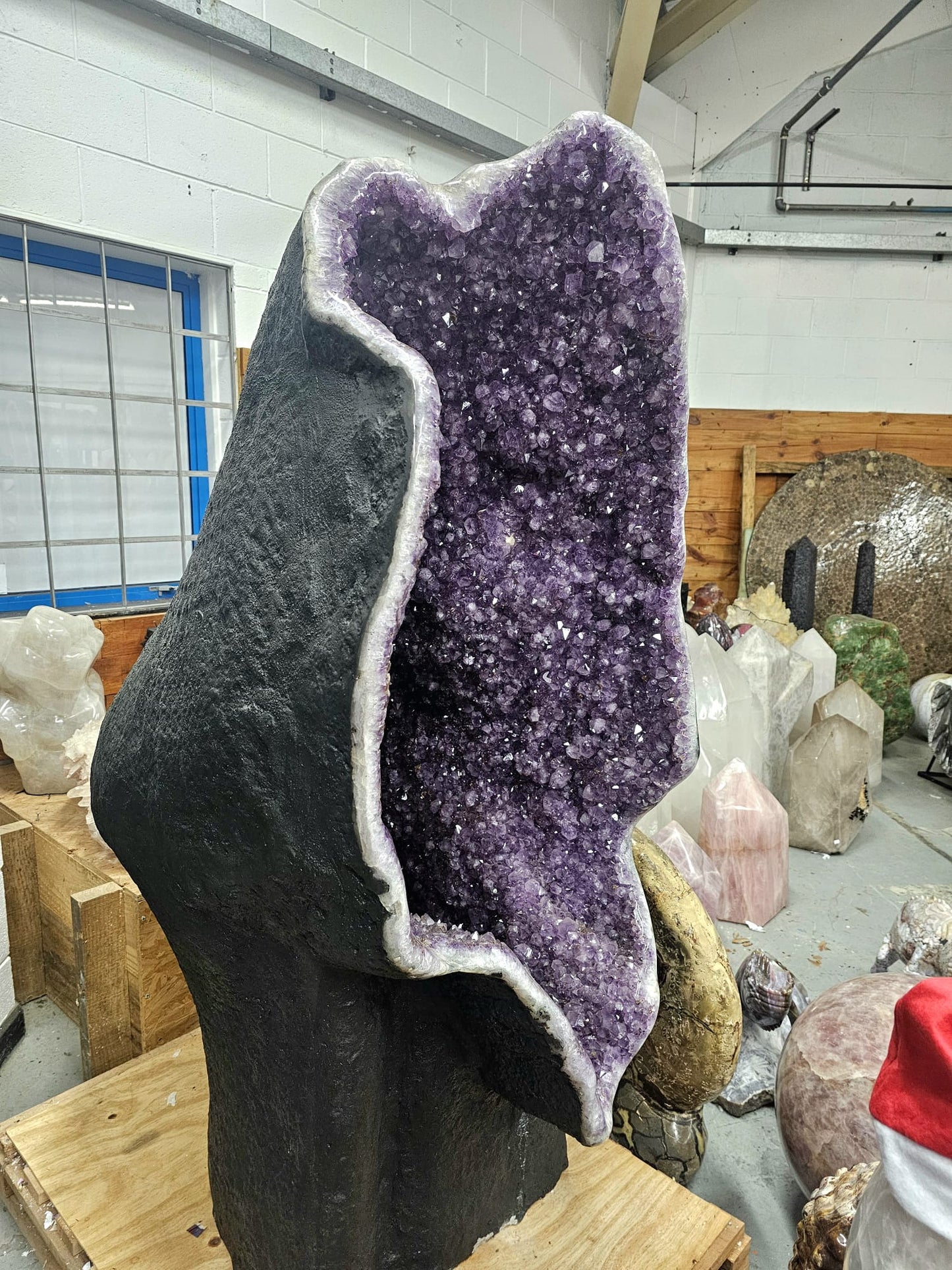 Giant Amethyst crystal with exceptional quality and deep purple tones.