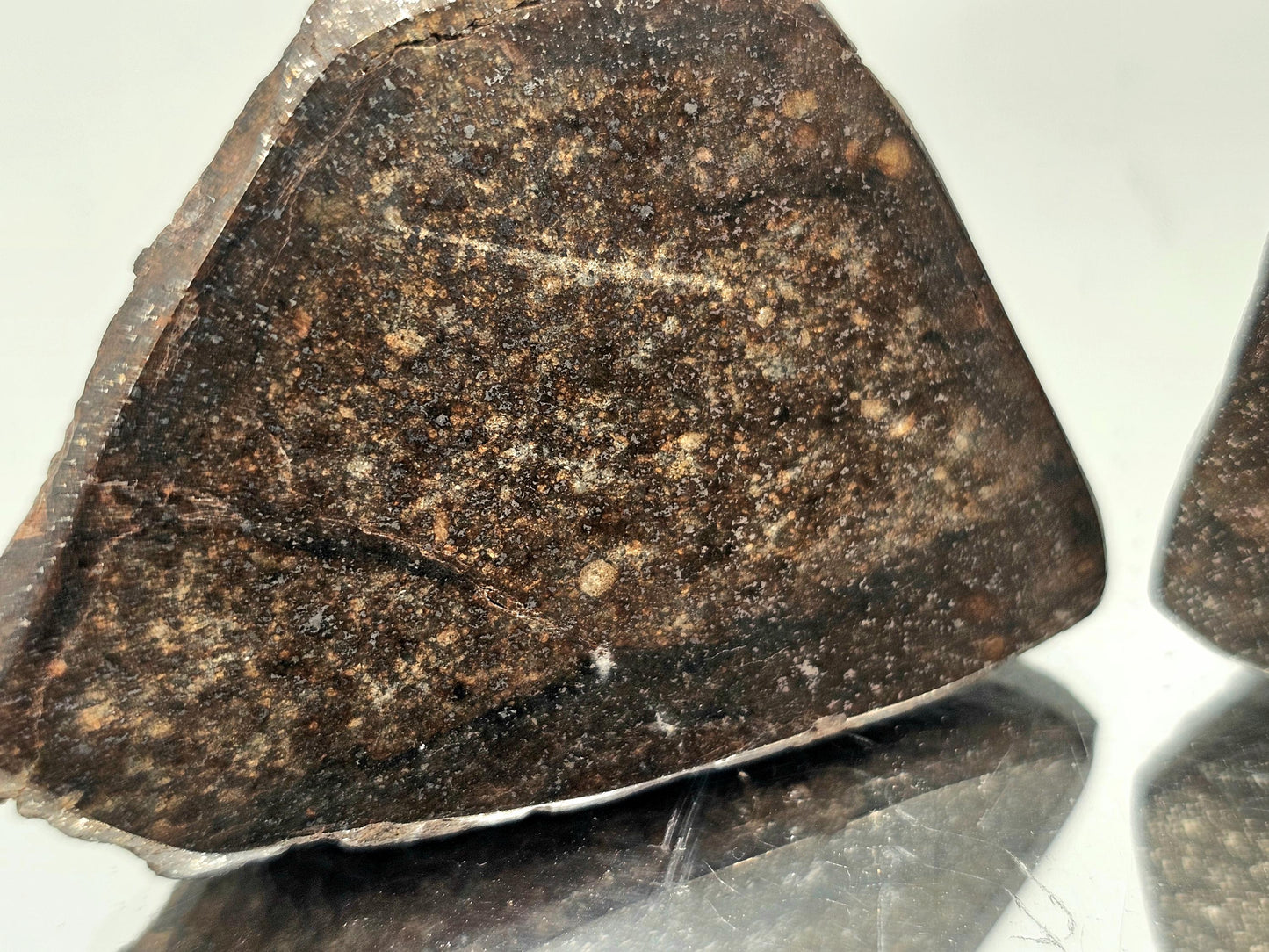 Oldest rock on Earth, cut and polished Chondrite Meteorite.