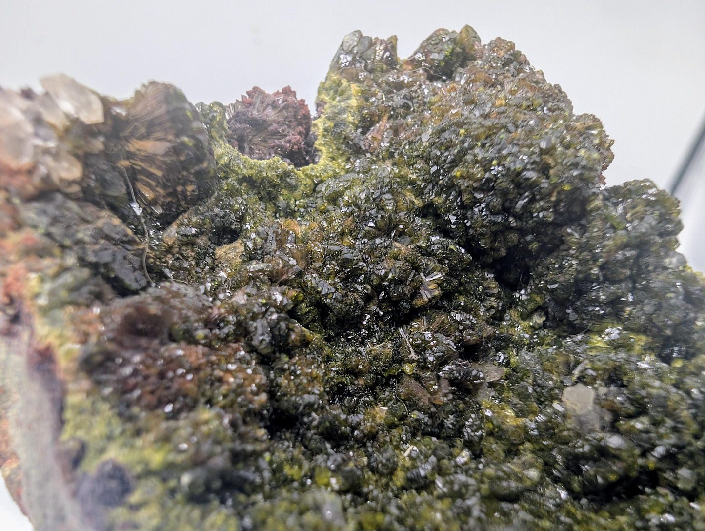 Collector-grade Forest Epidote on Quartz fine specimen