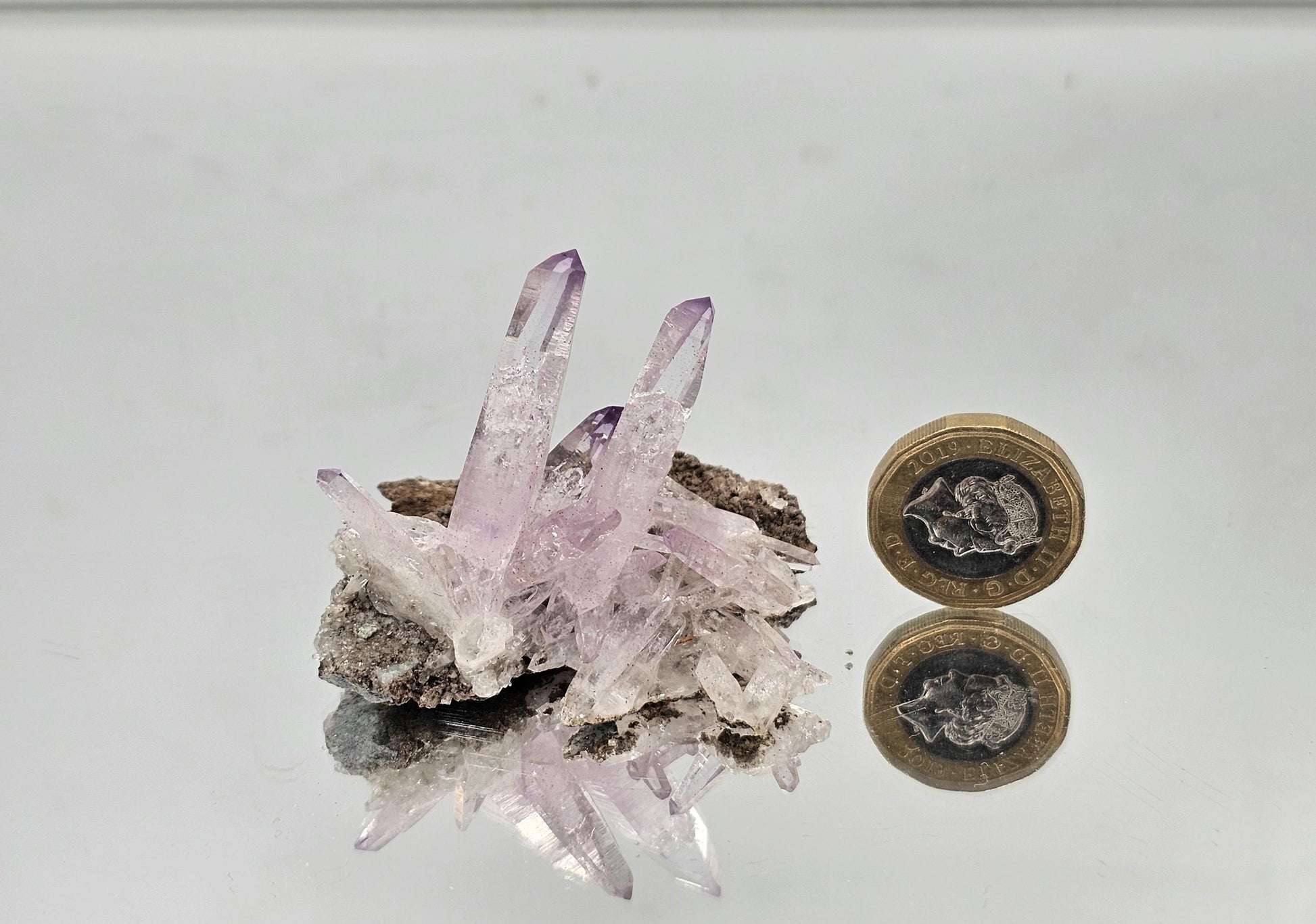 collector crystals small veracruz amethyst