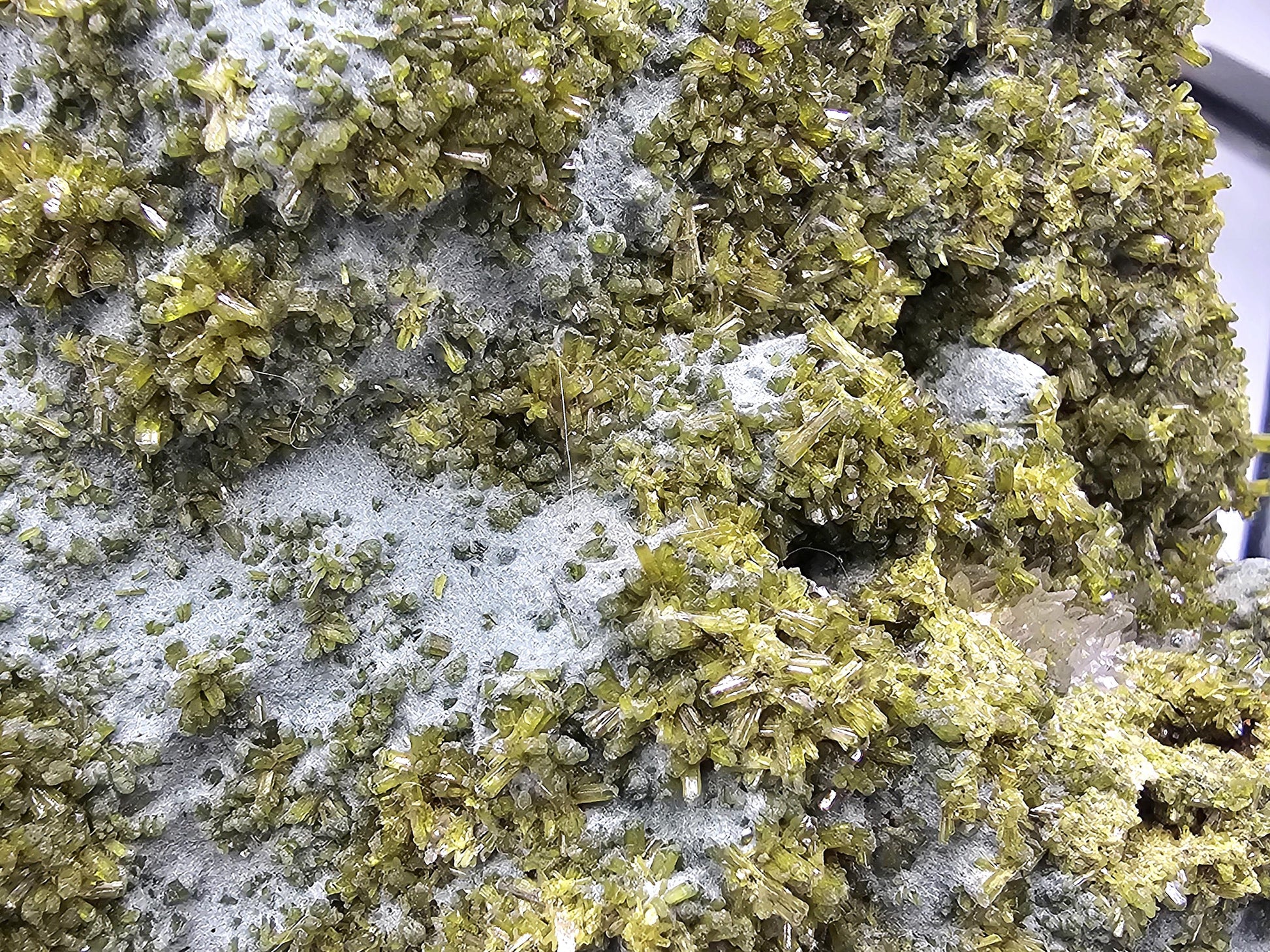 Large Moroccan Forest Epidote on Quartz Display Crystal.