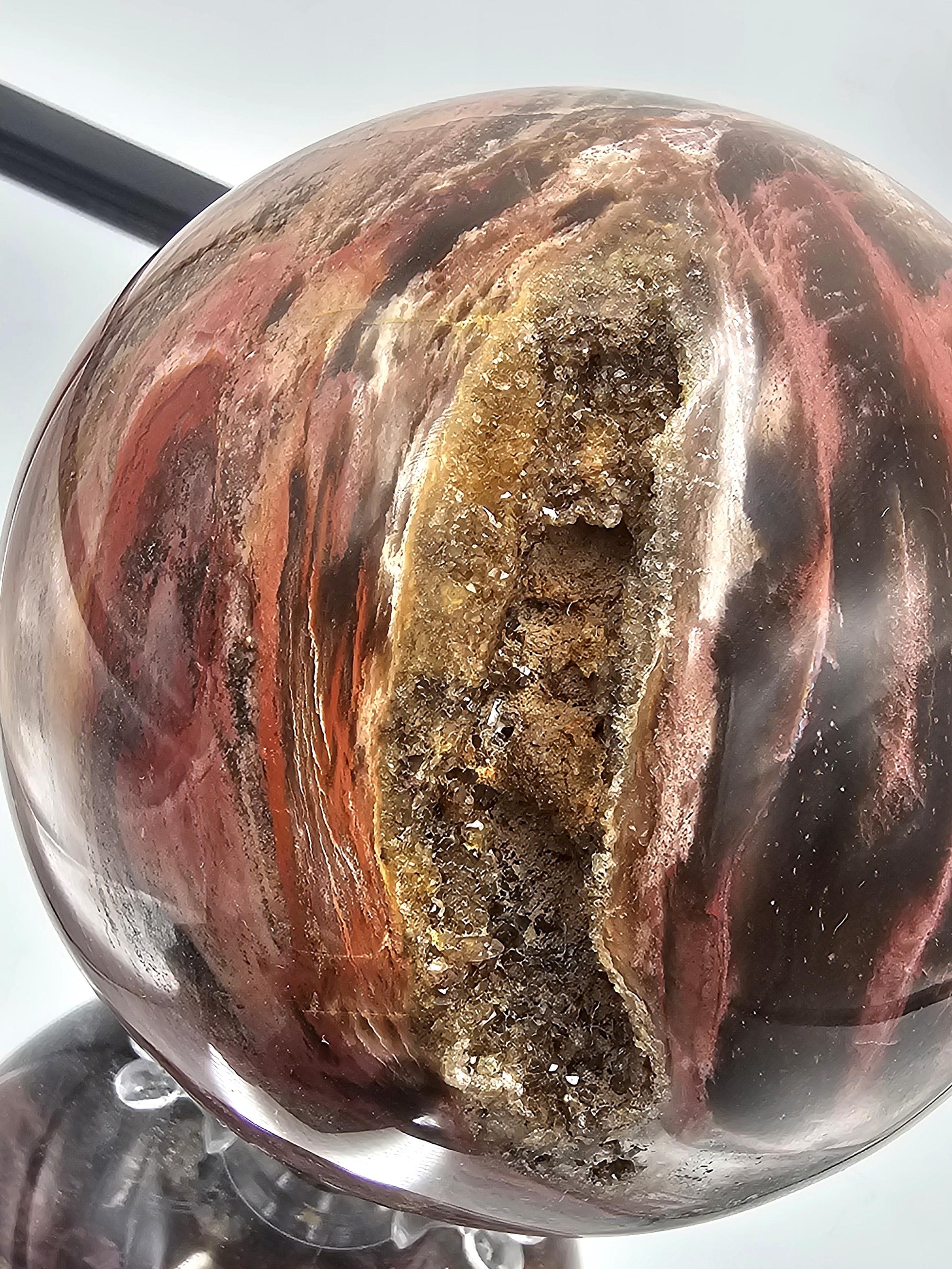 Fossil Wood crystal sphere featuring natural Quartz patterns