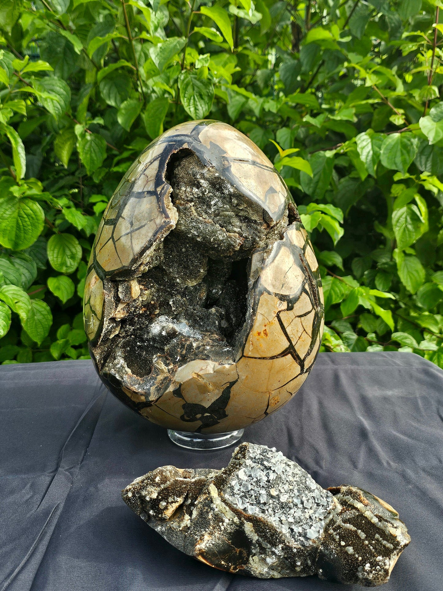 giant septarian crystal egg