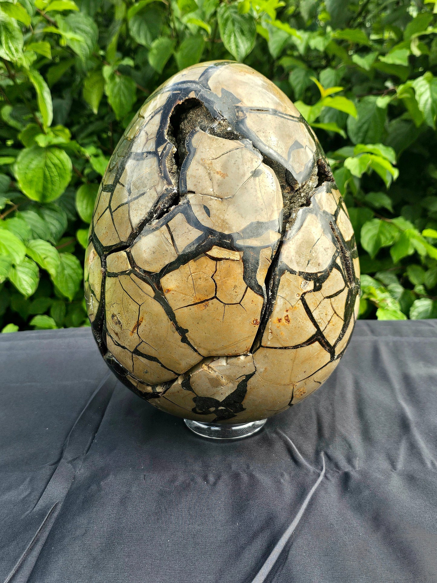 huge septarian crystal egg