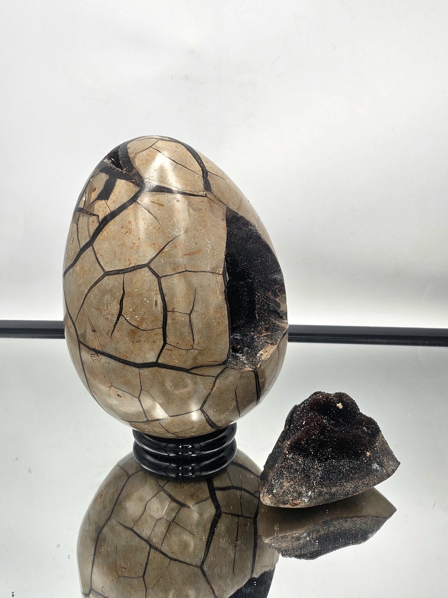 large crystals for natural interior design septarian egg