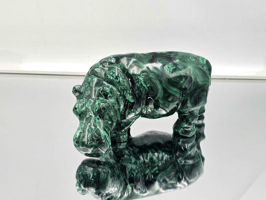 large malachite hippo