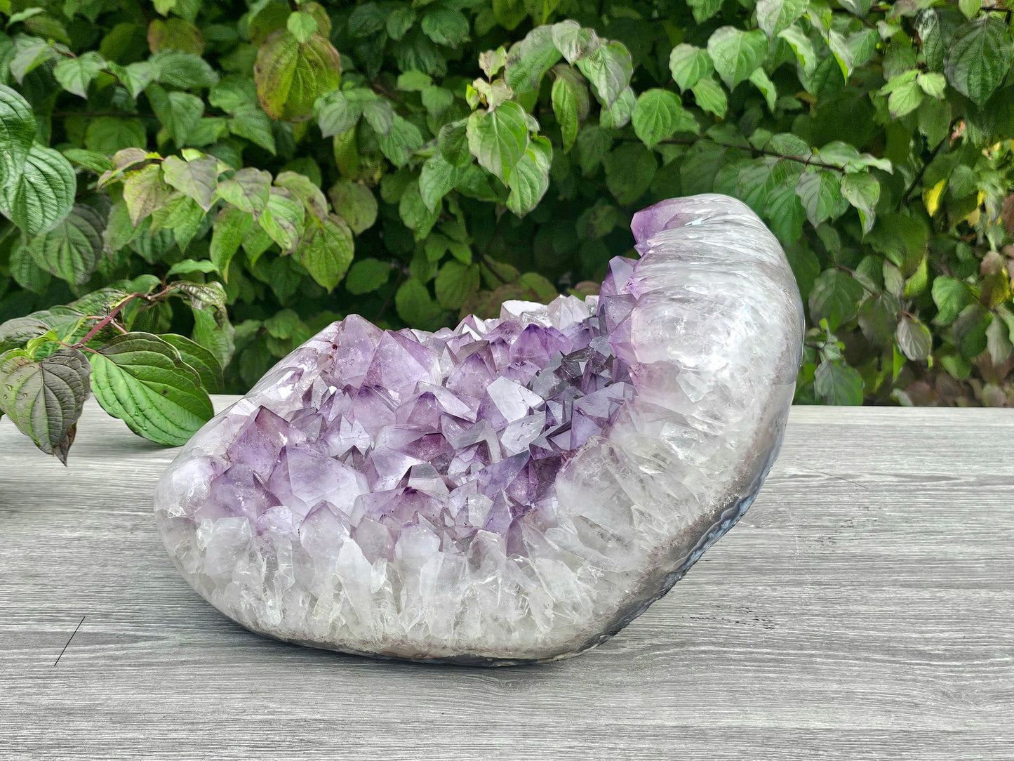 large polished amethyst cluster