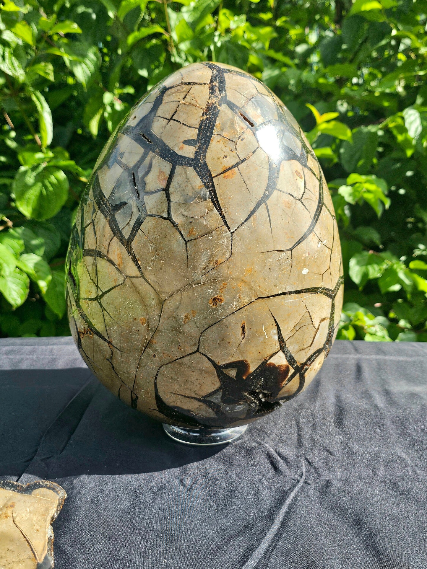 large statement crystal - septarian egg