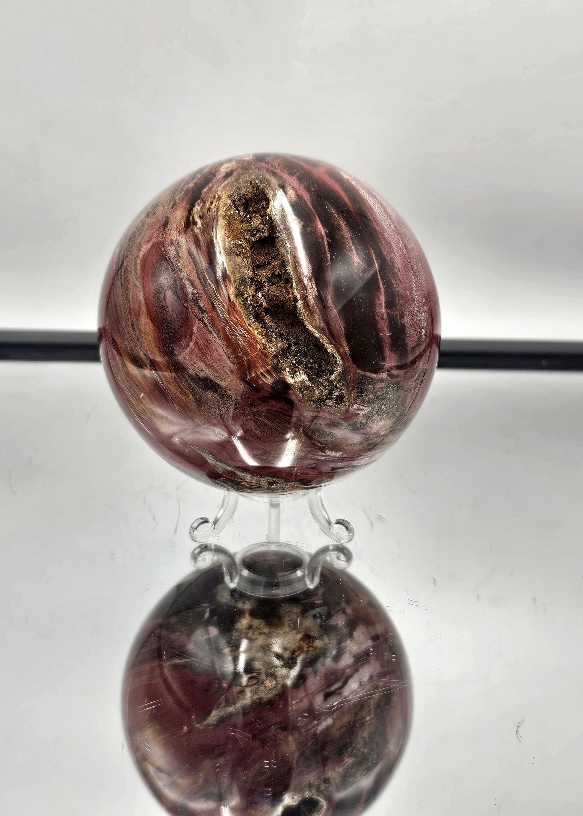 Madagascar Fossil Wood crystal sphere with Quartz