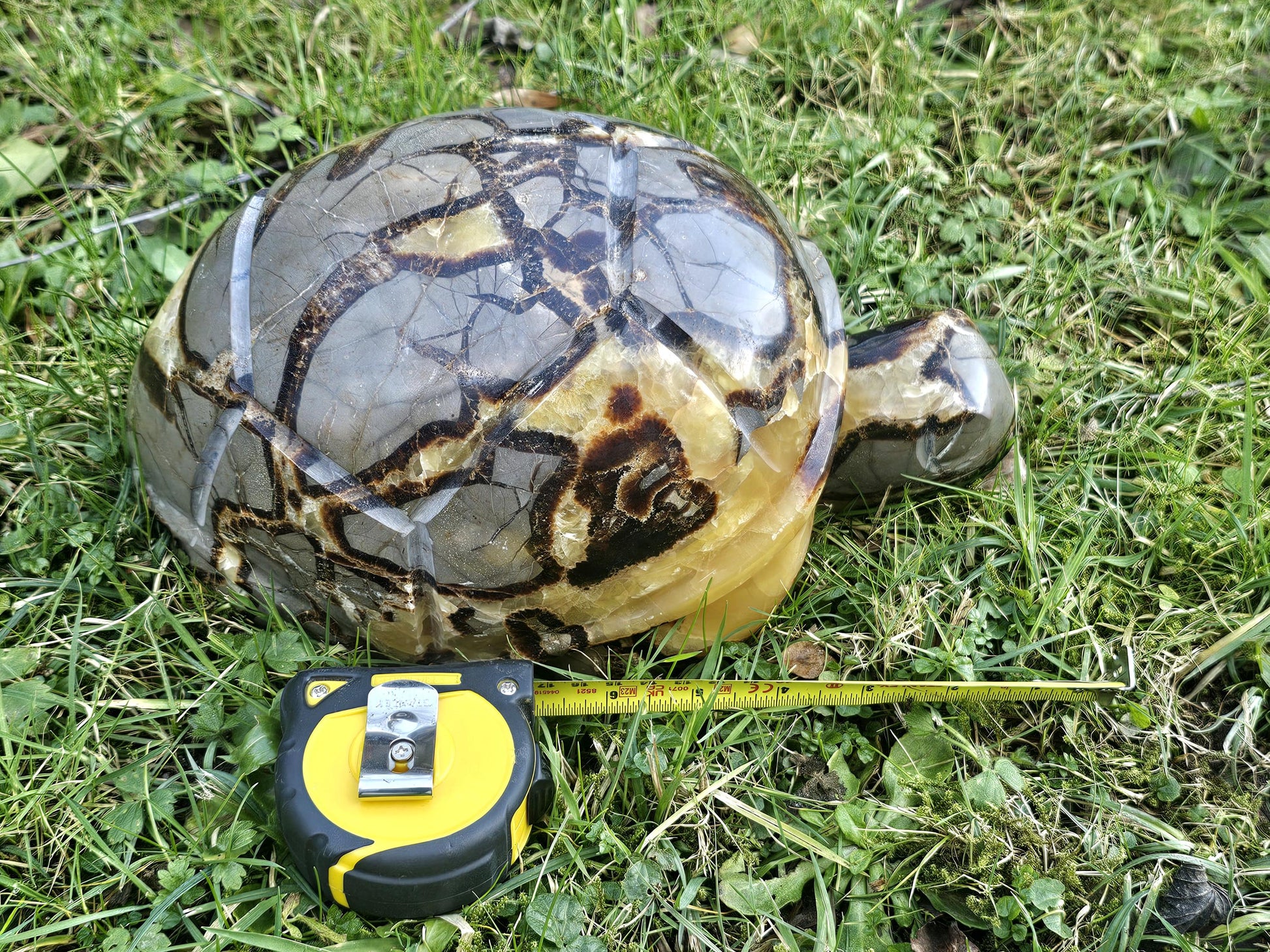 Madagascar-crafted Septarian Crystal Turtle, perfect for elegant decor.