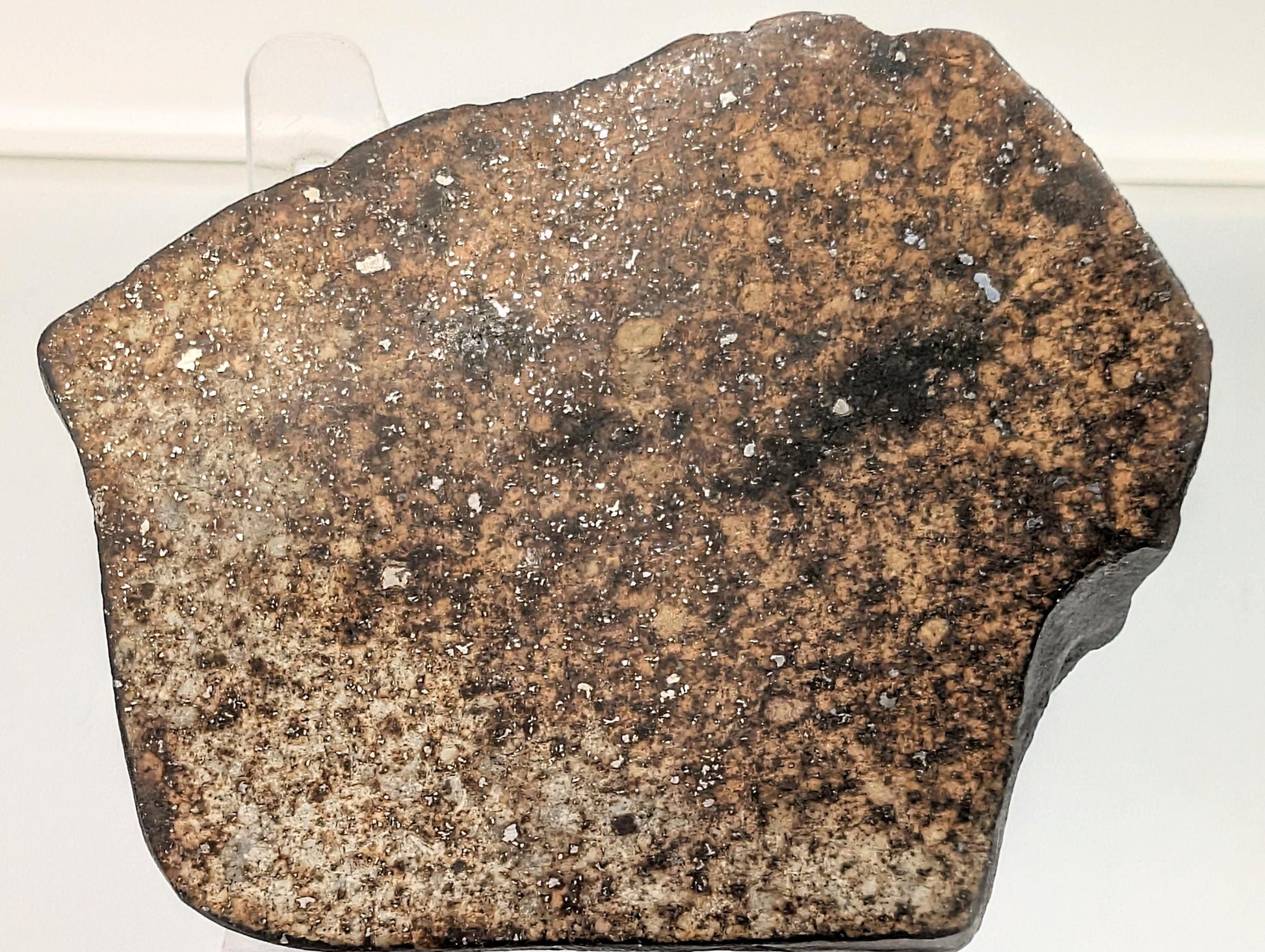 Raw Chondrite Meteorite with natural surface texture.