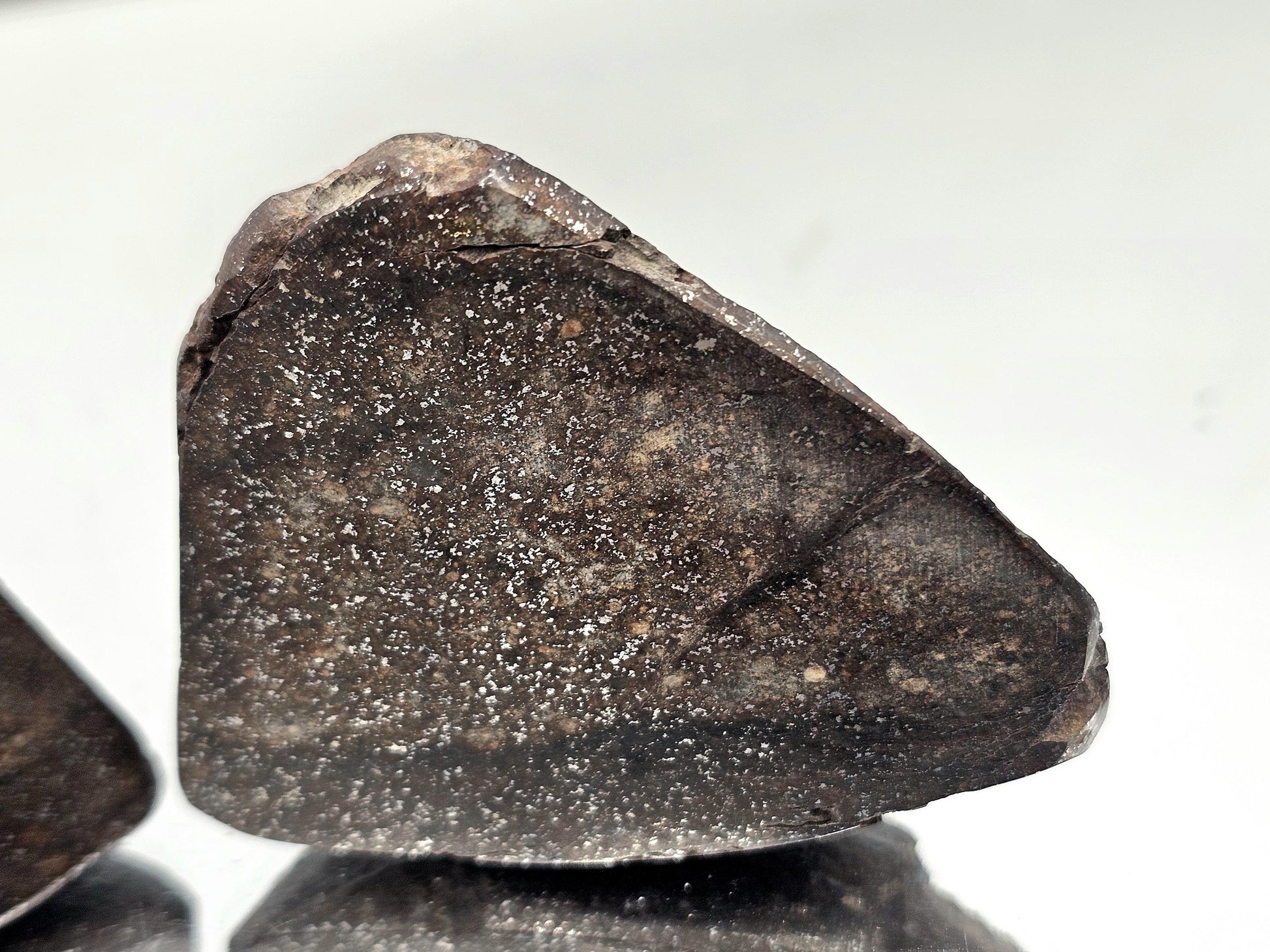 Cut and polished Chondrite Meteorite with stunning texture.