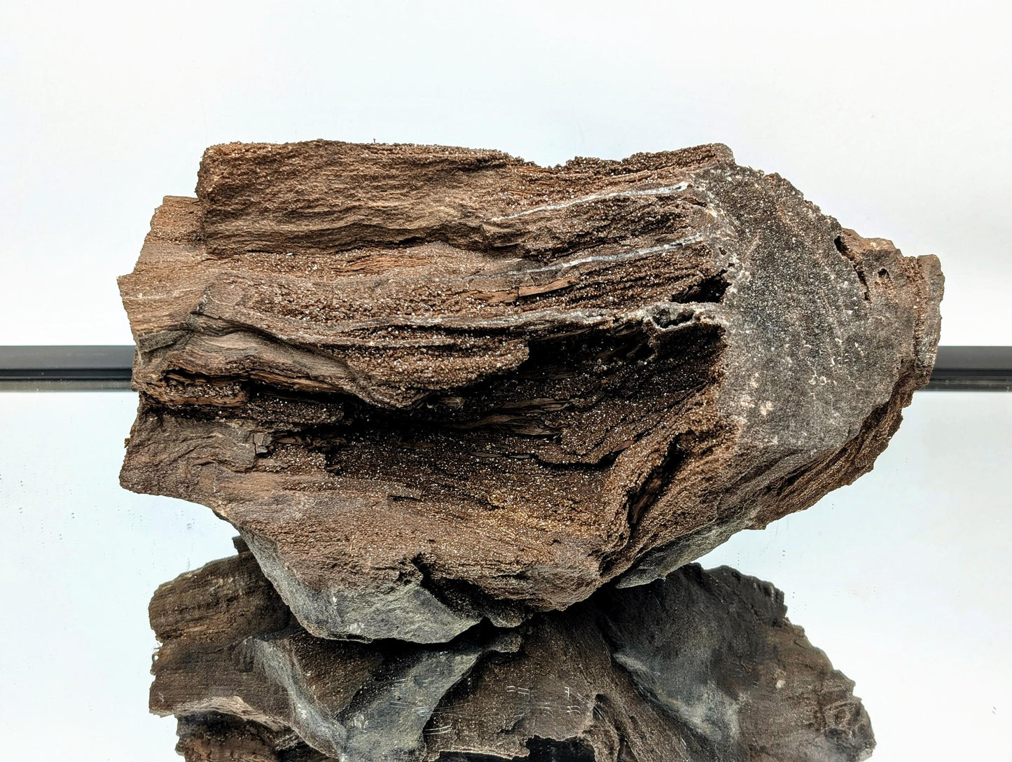 Natural quartz druzy on petrified wood as a stunning centerpiece.
