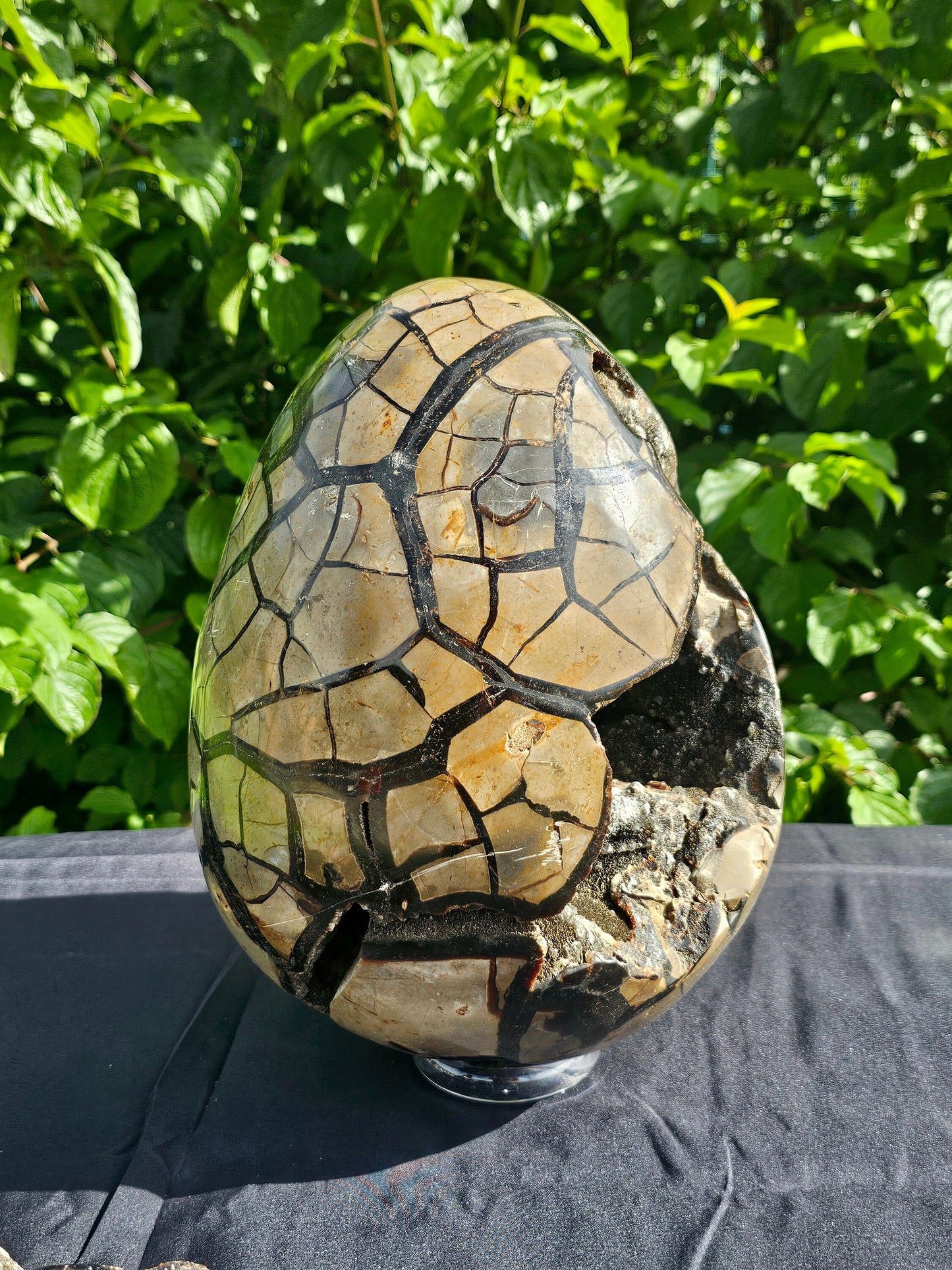 natural art - big septarian crystal egg