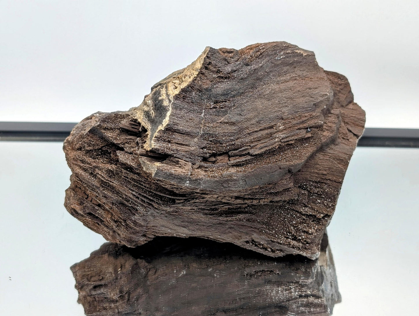 Permineralized wood with quartz druzy, a rare natural sculpture piece.