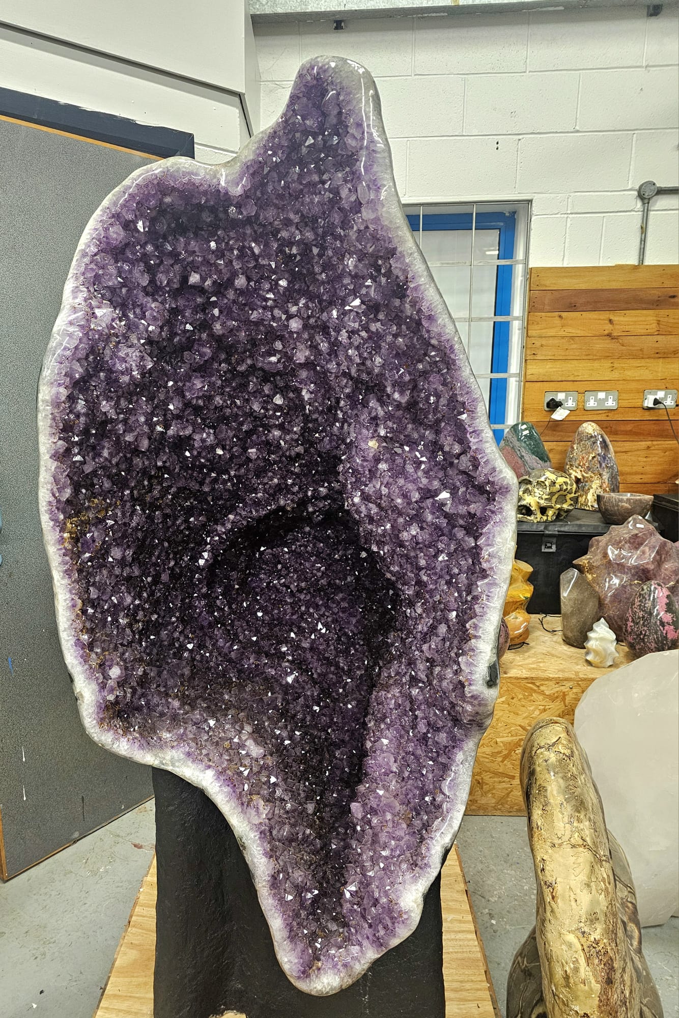 Giant Amethyst crystal with exceptional quality and deep purple tones.