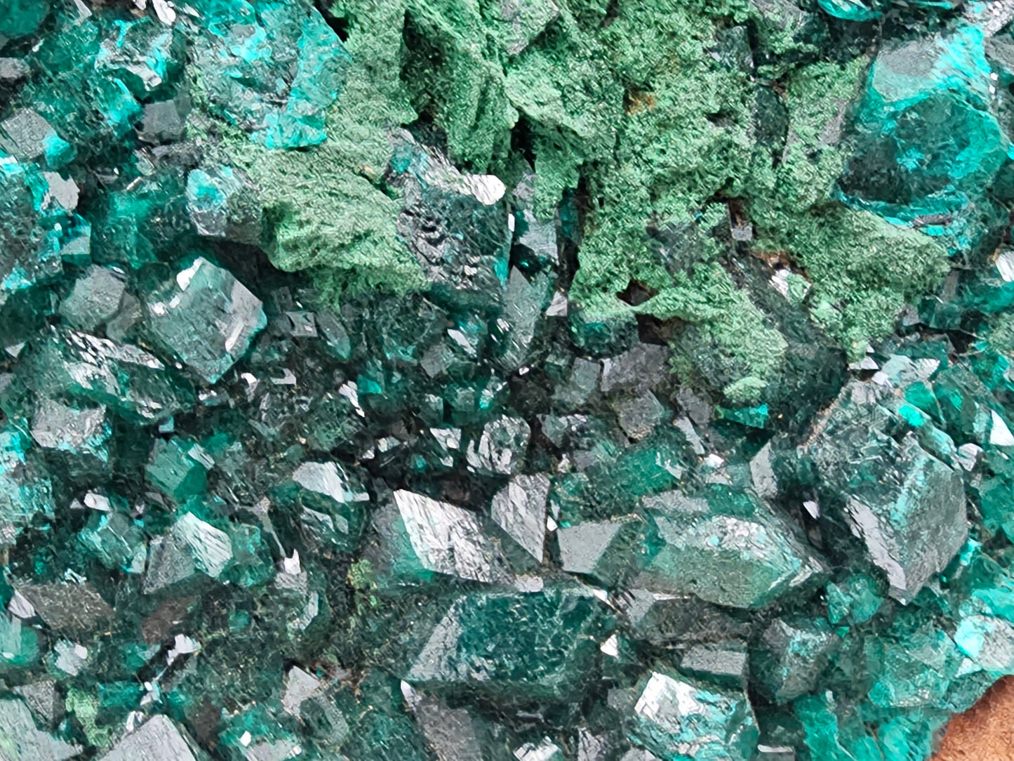 premium dioptase crystal XL