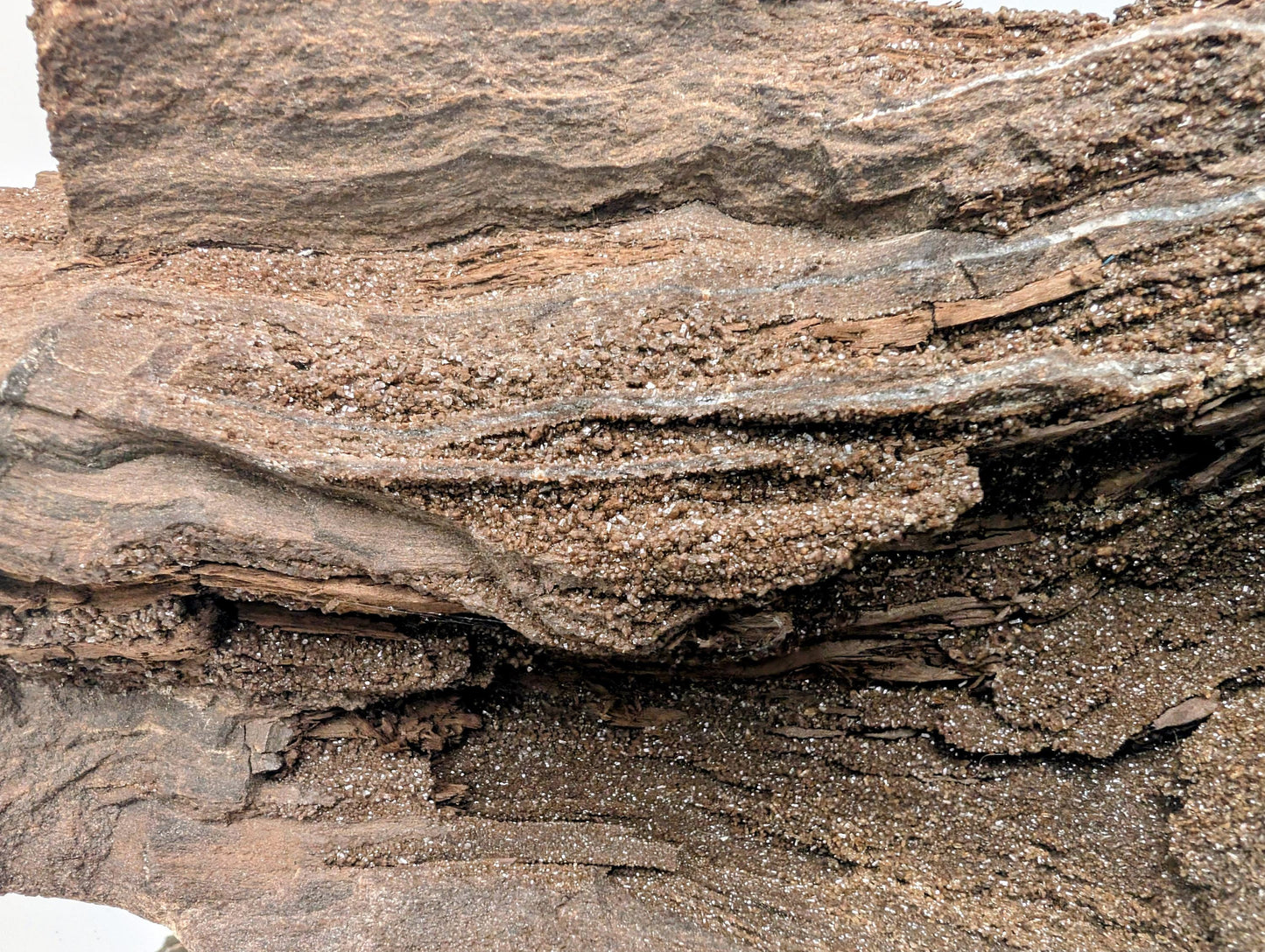 Quartz-encrusted petrified wood specimen from Saxony, Germany.
